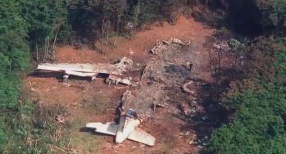 Das ausgebrannte A320-Wrack von Flug Air France 296 im Wald - Foto: Screenshot YouTube