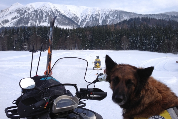 C15 arbeitet oft und intensiv mit dem Bergrettungsdienst zusammen; gerade im Winter sind (Lawinen-) Suchhunde ein wichtiger Bestandteil der Rettungskette.