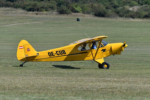Piper Cub des Austrian Aviation Museum (AAM)