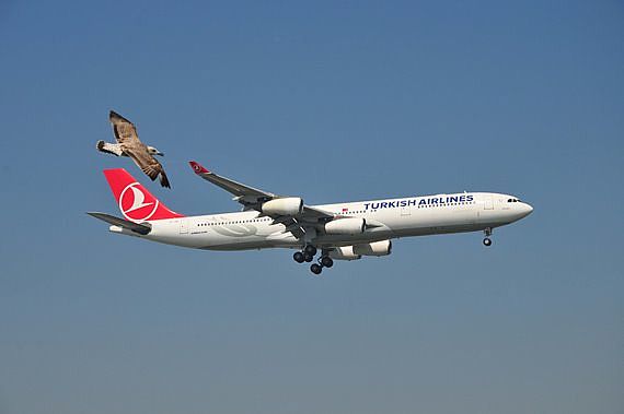 04. IST, by Andy Herzog Turkish Airlines A340 TC-JIH