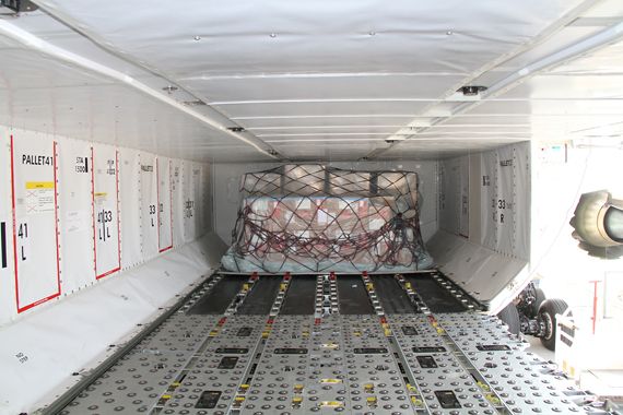 Boeing 787 Cargo Hold Frachtraum Royal Jordanian Dreamliner in Wien - Foto Austrian Wings Media Crew