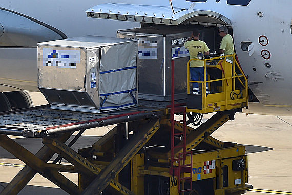 Symbolbild Sujetbild Luftfracht Aircargo Cargo Foto Huber Austrian Wings Media Crew