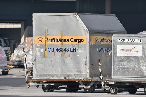 Symbolbild Luftfracht Sujetbild Lufthansa Cargo Foto Huber Austrian Wings Media Crew