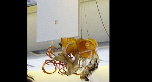 スイス航空がグラーツに緊急着陸：乗客用の酸素マスクが火災や煙の中で逆効果になる理由