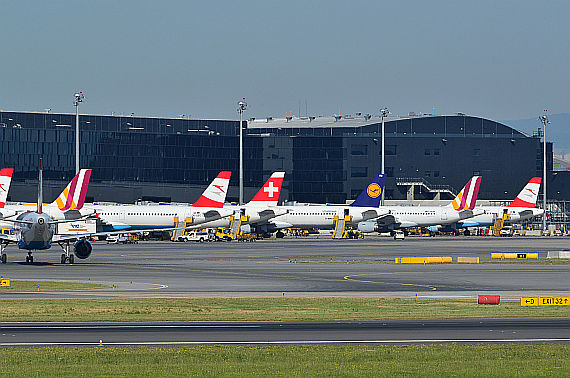 Check-In 3 Skylink Lufthansa Germanwings SWISS AUA Star Alliance Symbolbild Sujetbild Foto PA Austrian Wings Media Crew