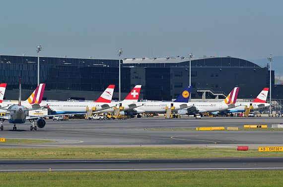 Check-In 3 Skylink Lufthansa Germanwings SWISS AUA Star Alliance Symbolbild Sujetbild Foto PA Austrian Wings Media Crew