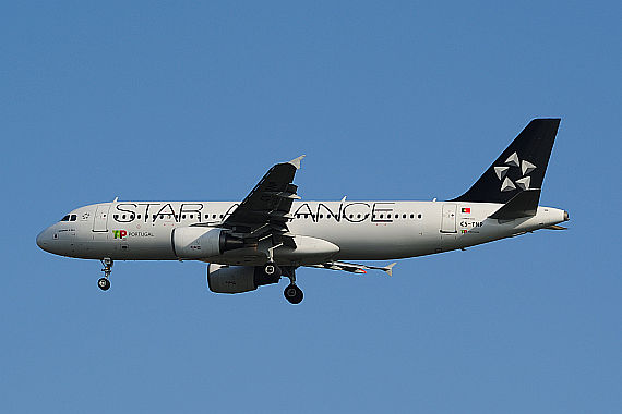 TAP Portugal Airbus A320 Star Alliance Farben CS-TNP Anflug Piste 34_2 Foto PA Austrian Wings Media Crew