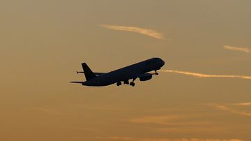 Symbolbild Airbus A321 (Lufthansa)