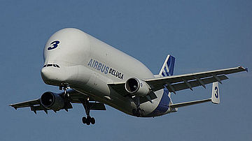 Airbus A300-600ST Beluga Foto Wiki Commons