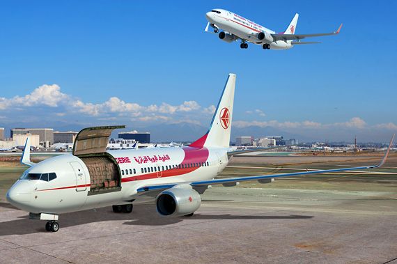 Air Algerie Boeing 737-700C - Grafik: Boeing