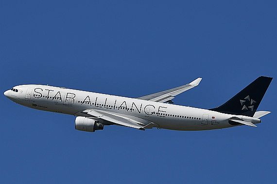 DSC_0107 CS-TOH Star Alliance Farben TAP Portugal Airbus A330 Foto Huber Austrian Wings Media Crew