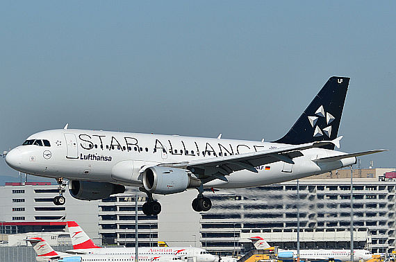 Lufthansa Star Alliance Airbus A319 D-AILF Foto PA Austrian Wings Media Crew