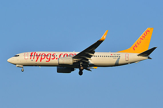 Pegasus Boeing 737-800 TC-ACP Foto PA Austrian Wings Media Crew