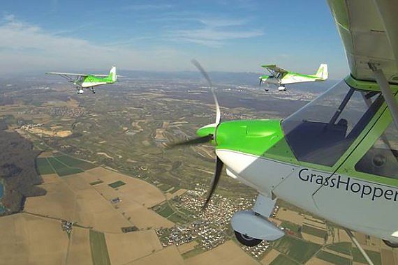Grasshoppers im Flug Foto Facebook