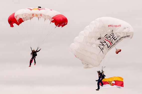 Red Bull Skydive Team