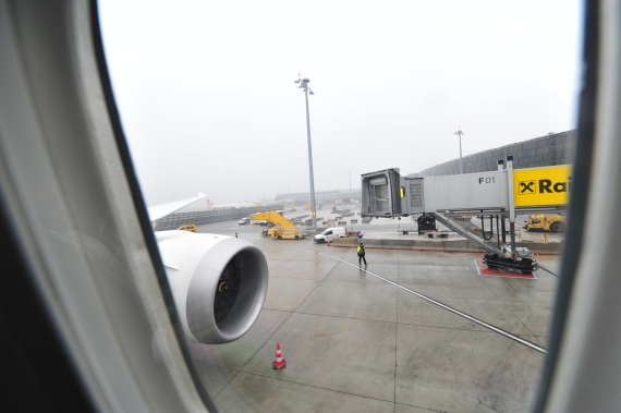 Die Fenster des Boeing 787 Dreamliner sind um rund 40 Prozent größer als bei konventionellen Verkehrsflugzeugen - Foto: Austrian Wings Media Crew
