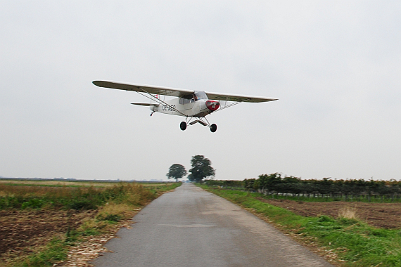 Starfighter Piper PA-18 OE-AEO Tiefflug zwischen Weinreben Foto_10 PA Austrian Wings Media Crew