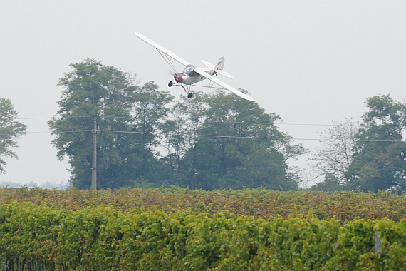 Starfighter Piper PA-18 OE-AEO Tiefflug zwischen Weinreben_15 Foto PA Austrian Wings Media Crew