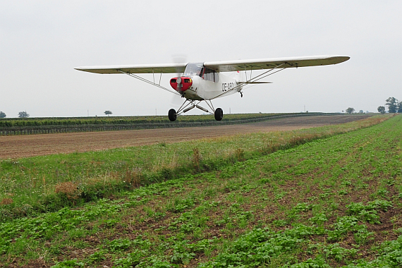 Starfighter Piper PA-18 OE-AEO Tiefflug zwischen Weinreben_8 Foto PA Austrian Wings Media Crew