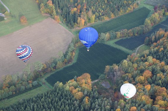 Apfelmontgolfiade in Puch bei Weiz_1Awildberger Apfelmontgolfiade in Puch bei Weiz_1Awildberger