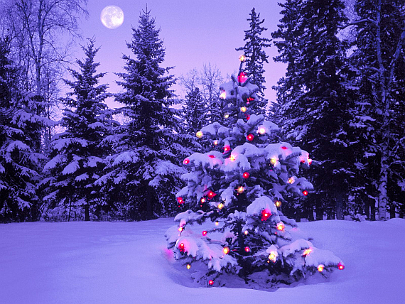 Sujetbild Weihnachten, Weihnachtslandschaft