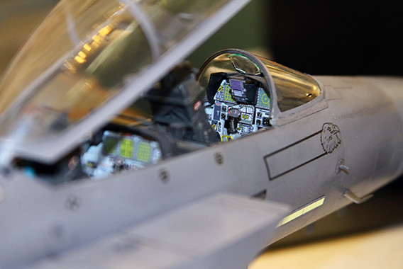 Blick ins Cockpit einer F-15 Strike Eagle - Foto: Phil Weber