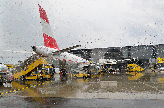 OE-LBP im Regen in Wien Foto PA Austrian Wings Media Crew OE-LBP im Regen in Wien Foto PA Austrian Wings Media Crew