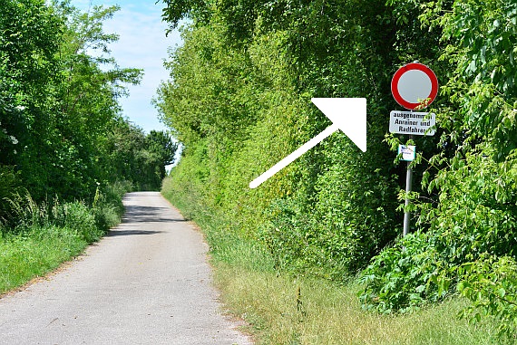 Auch, wenn es verlockend erscheint, herrscht auf dem Weg zum Spotterhügel Fahrverbot: Zu Fuß ist die Fotoposition in 10 bis 15 Minuten problemlos erreichbar.