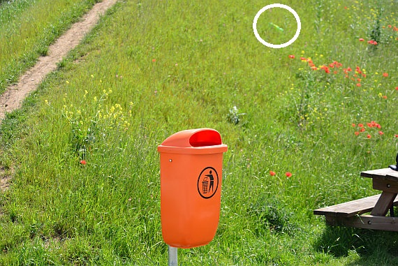 ... lag nur rund 10 Meter von einem der beiden Mistkübel entfernt. Das muss wirklich nicht sein! ... lag nur rund 10 Meter von einem der beiden Mistkübel entfernt. Das muss wirklich nicht sein!