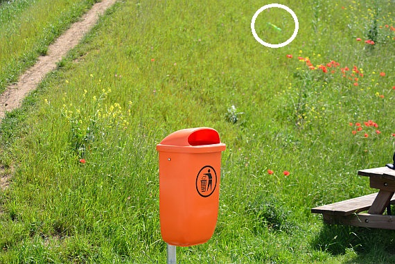 ... lag nur rund 10 Meter von einem der beiden Mistkübel entfernt. Das muss wirklich nicht sein!