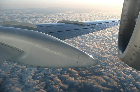 Der Aviatiker sitzt in der kleinen Tushka gerne hinten! Der Aviatiker sitzt in der kleinen Tushka gerne hinten!