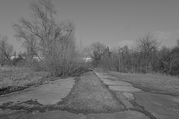 Blick auf die einstige Zufahrtsstraße des Flughafens.