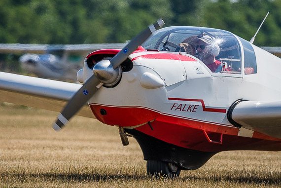 Spitzerberg 2015 Markus Dobrozemsky Closeup Motorfalke