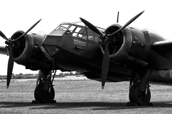 Blenheim_11oclock_bw