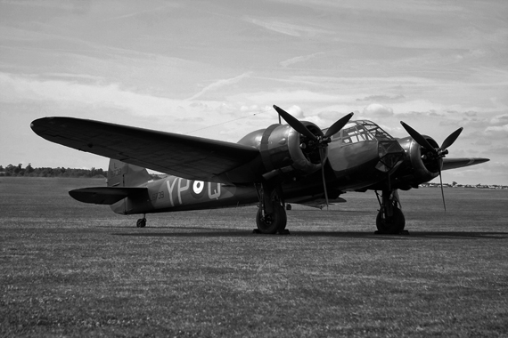 Blenheim_bw