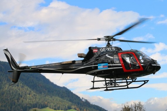 4 10 15 Heliday OE-XLS 01 Ecureuil CSchöpf 4 10 15 Heliday OE-XLS 01 Ecureuil CSchöpf