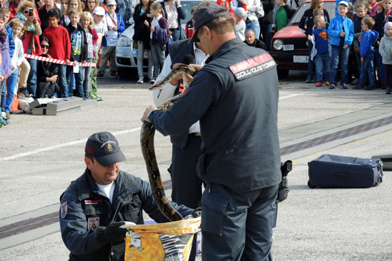 Flugtag-Linz-Zoll-Artenschutz-Foto-MK-Austrian-Wings-Media-Crew