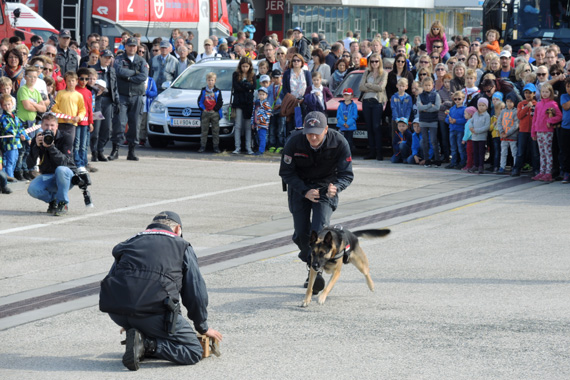 Flugtag-Linz-Zoll-Hundestaffel-Drogenhund-Foto-MK-Austrian-Wings-Media-Crew