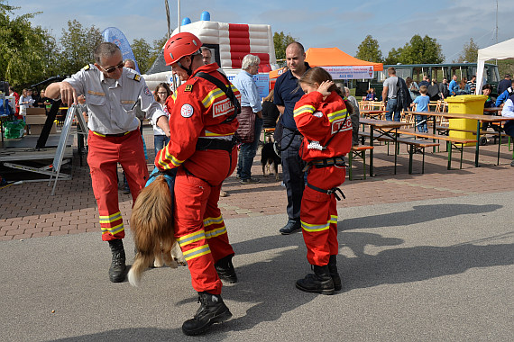 Rettungshundebrigade im Einsatz