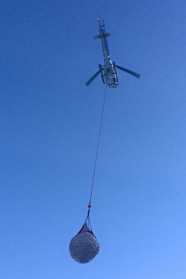 Bis zu drei Hubschrauber fliegen die "weiße Pracht" auf die Hänge - Foto: Facebook, ZVG