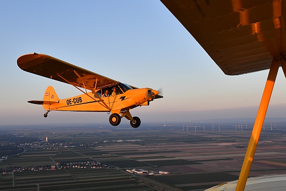 DSC_0470 Piper Cub des AAM OE-CUB Air2Air mit Anton Wildberger am Steuer der Cub Foto Huber Austrian Wings Media Crew