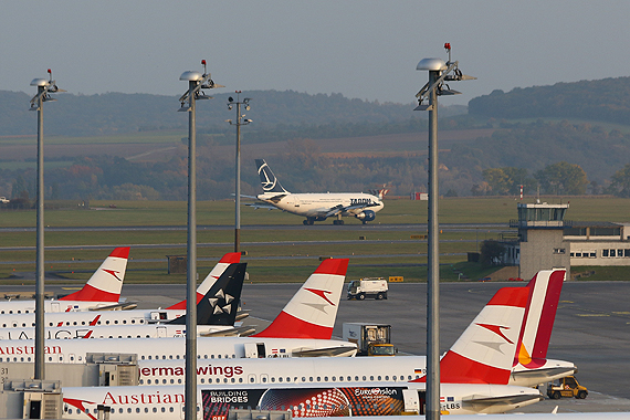 Airbus A310 Tarom YR-LCA - Foto: Christian Zeilinger/ Austrian Wings Media Crew