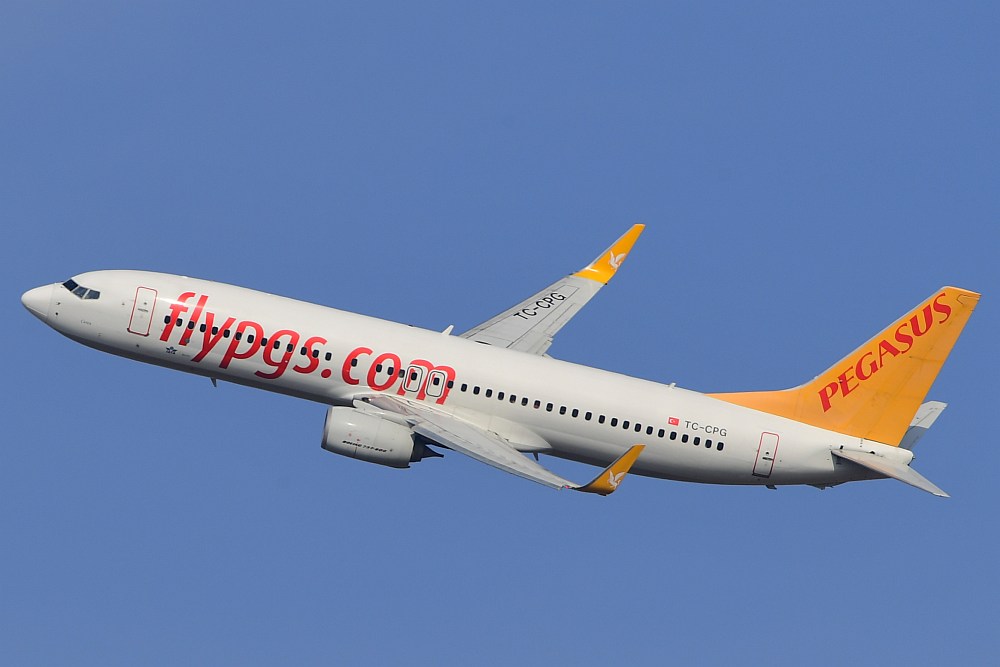 737 pegasus store