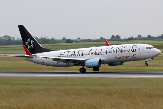 Eine Boeing 737-800 der Austrian Airlines in Star Alliance Sonderbemalung - Foto: R. Reiner / Austrian Wings