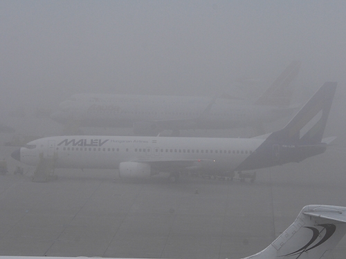 Auch diese 737-800 der Malev strandete am 20. 11. in Wien - Foto: P. Radosta / Austrian Wings
